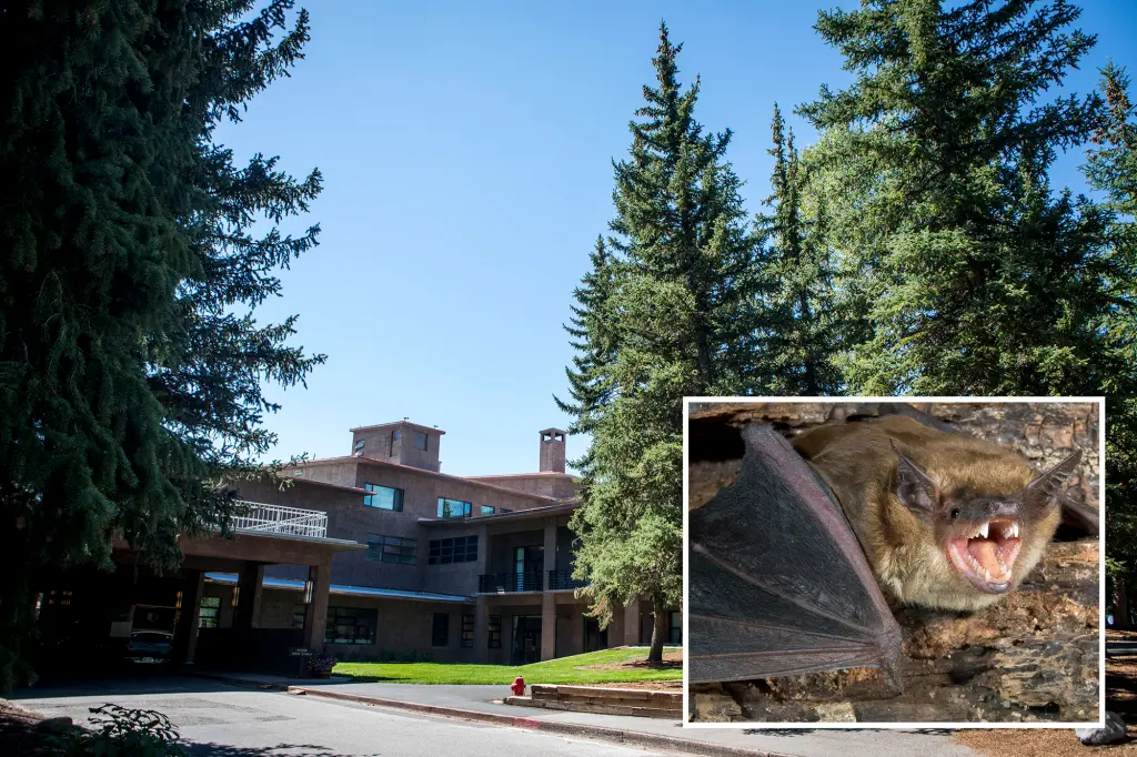 “Bat Colony at Grand Teton Lodge Raises Rabies Exposure Fears”