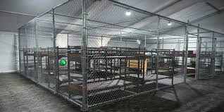 Judge Bars Transfer of New Detainees to Florida’s ‘Alligator Alcatraz’